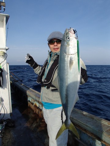 fpypsi74kevu54hp3jag_480_480-29ea53d7.jpg