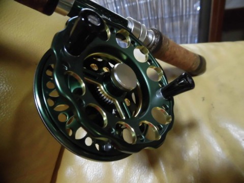 frcvo67kvvjsont5ky3i_480_480-b16bd347.jpg