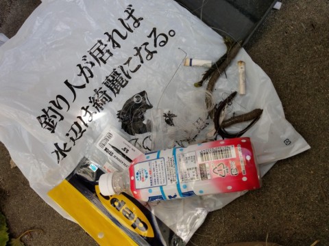 frh3mn29hok9bmt5wfse_480_480-80d21fc8.jpg