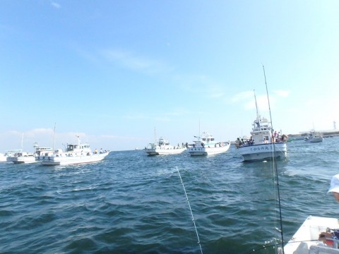 fryeomh9vvi7utafus6i_480_480-d831ebb4.jpg