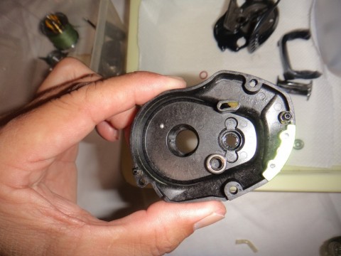 fs6x48oykdpxkipoyhhx_480_480-42cf7ba1.jpg