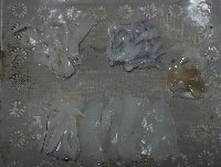 fsddyhr8ztozv8sdtnns-06888ee4.jpg