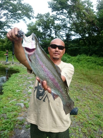 fsfpisnr3cg3hved77b4_690_920-53b1fb73.jpg
