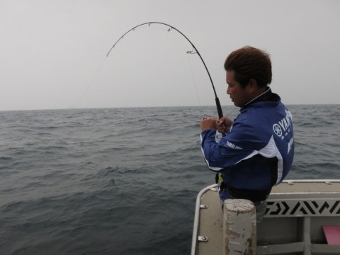 fskwsvmag88srv65mnj5_480_480-837ab6dc.jpg