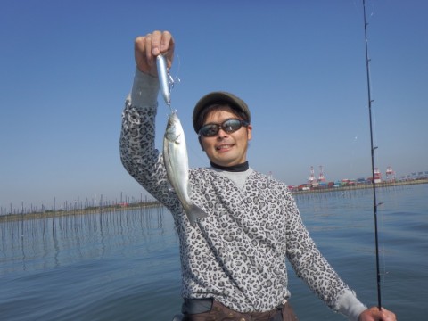 fsnuzmj7oc8kn6votm3i_480_480-3b8d8570.jpg