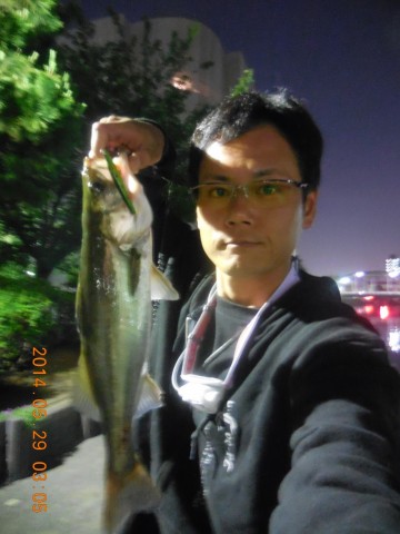 fsyxmztxa6ye9m62wg3v_480_480-ee94775d.jpg