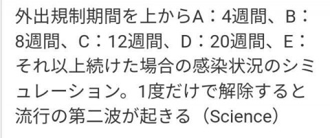 ft45mz2vni6drh23ve6j_480_480-5ff35815.jpg