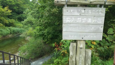 fti2atbmhk389dtig8z9_920_518-e9c696d8.jpg