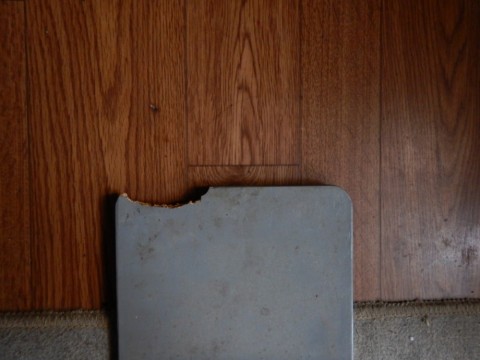 ftpcgzwavs4rof9pwnyw_480_480-b50ae7ea.jpg