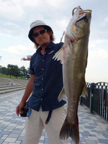 fttdr4k75trtuxv6c3fy_480_480-319268cc.jpg