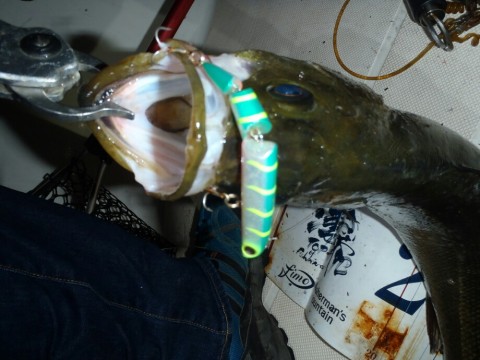 fttpkskzksp98at7s9a8_920_690-5af13504.jpg