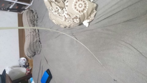ftyy6cwxn4g23vnkt8b8_920_518-522e2bf8.jpg