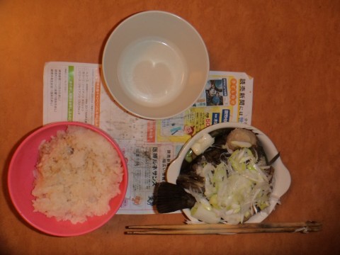 fu8kczm9y4gchjk2bdjs_480_480-04c5dd98.jpg