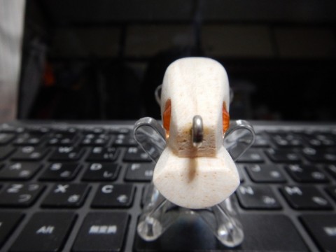 fu9szr5fymngeubohga7_480_480-e19b0377.jpg