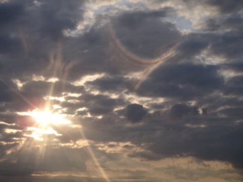 fu9vmt5bgdhngspmb3j8_480_480-95c85d0d.jpg