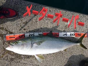 fugw84koadmkxztgcfix-3d670560.jpg