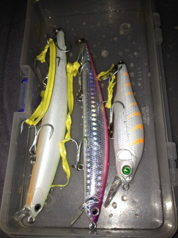 furu429ygyhnk59sfy9r_690_920-0fac82b6.jpg