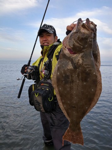 fv33mgsukjpu6kecd6sn_480_480-c6065ccc.jpg