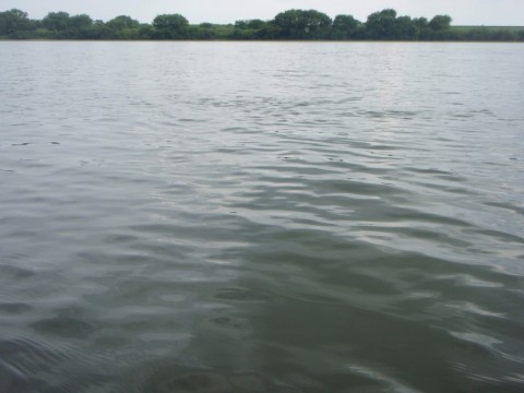 fv7hh5jx4p4v5zzbbstm_480_480-00b7ab1b.jpg