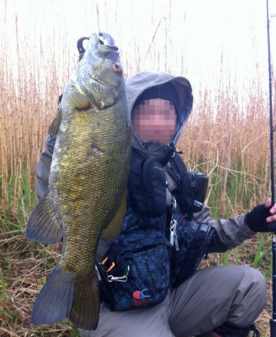 fv8gof77jo9kv5c4bnzb_480_480-4243030e.jpg
