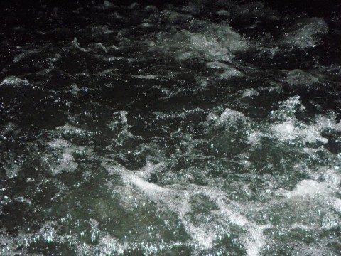 fvajaf3pygcjcg7ijzc9_480_480-a6278e2a.jpg
