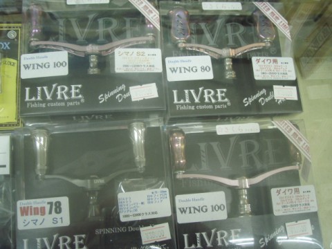 fvnui4dsd35pun2amp6i_480_480-8b96089f.jpg