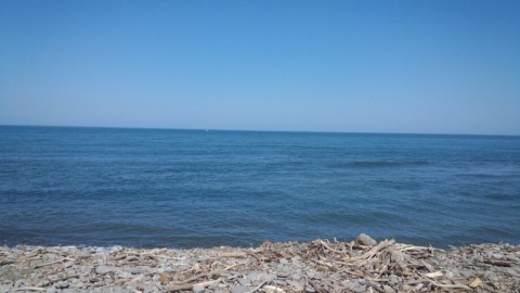 fvypwin658yvanuotgc6_920_518-26b01eed.jpg