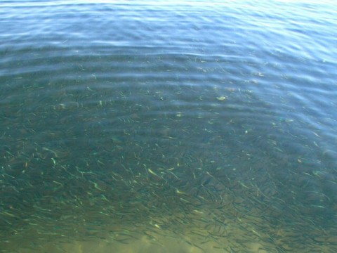 fw43aeivnc3joktnpi8v_640_480-d0091278.jpg