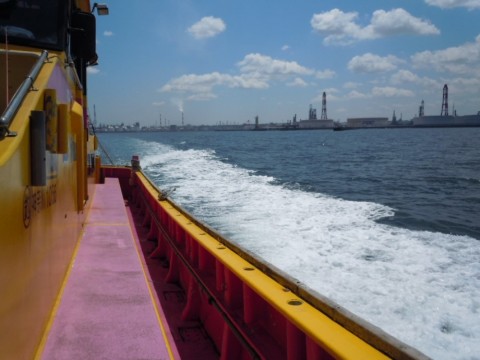 fw4isawdi85r66xzpmvb_480_480-6a9caad6.jpg