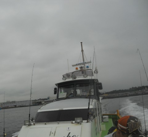 fwdmknm4sr4kjf4xg296_480_480-74aaebd4.jpg