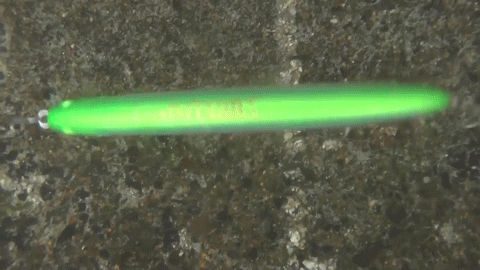 fwknun2grcp8by9im2ux-830de09e.gif