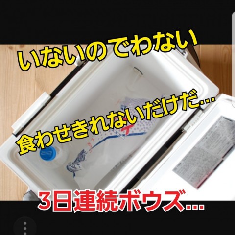 fwsnz2u6cb5bhgcik3d7_480_480-43577272.jpg