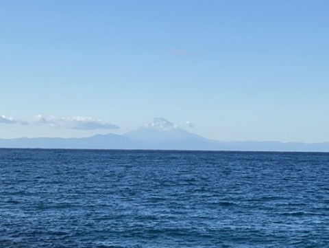 fx5so4seawnznzmrjcv7_480_361-5736c0d9.jpg