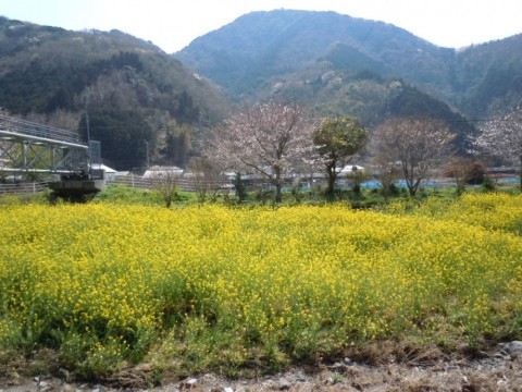 fxnpzpbnu66iuv3b8vep_480_480-f48293f1.jpg