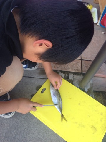 fxnx28297kvn6ro7xuwa_690_920-9913e341.jpg