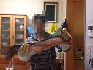 fxomru7rxmbdndpgjkxx-19ea16ea.jpg