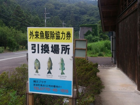fxy84kvpr8fo78o9dvfk_920_690-d1aebcfb.jpg
