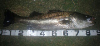 fyphgoph4xsfbjzk8py3_320_150-8ea29a27.jpg