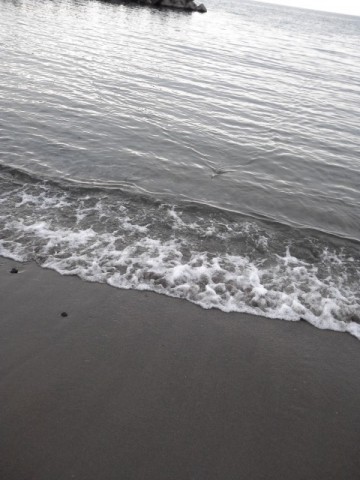 fyswskxcivejkf7mkfi6_480_480-c1a05c04.jpg
