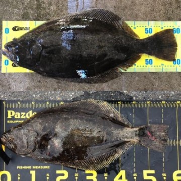 fyuzsiwhepau3ddbiu95_400_400-9cb4a39f.jpg
