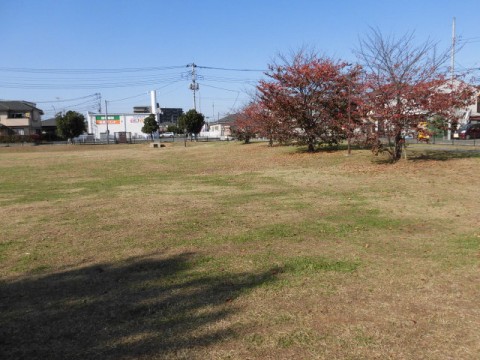 fyzgfhs59d7zxdzd55bi_480_480-edb51892.jpg