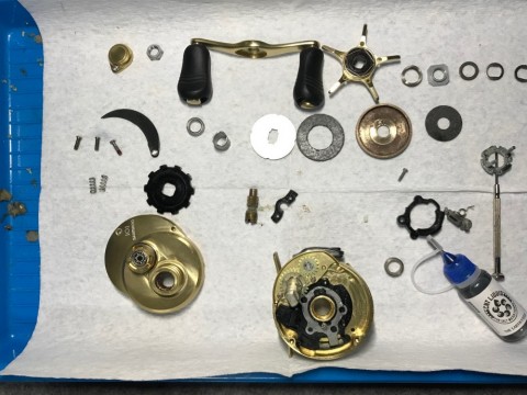fz5d5seycg4vpkzfhees_480_480-363cc4fb.jpg
