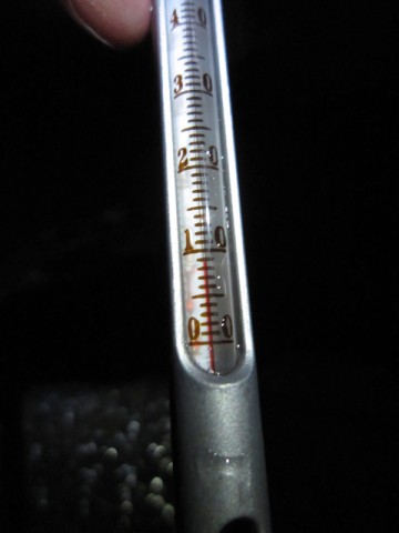 fz5ohpz58p6mz8odhpxh_480_480-99f4042b.jpg