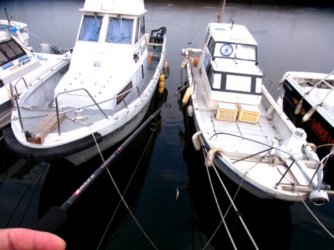 fzauug4hubtdozkying2_480_480-21fc0f13.jpg