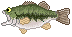 fzikpuawoypjkrunahvj-b3544b9a.gif
