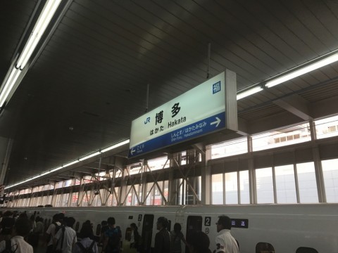 fzs2jm65fk98r975u79x_480_480-6fc703f0.jpg