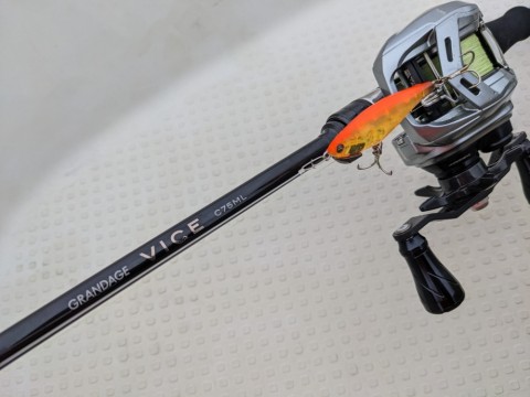 fzw8oz89cdfhjrch95ka_480_480-42b6ba46.jpg