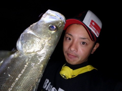 g2id3u92r4hxb4ssxe29_480_480-cb6046df.jpg