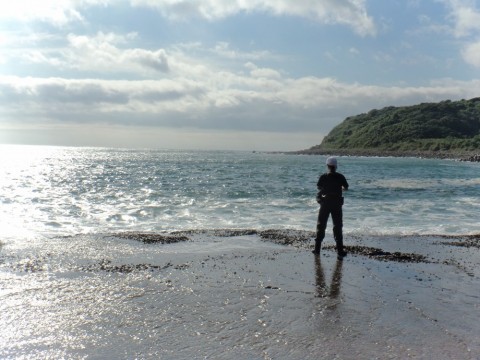 g2s7hcm9dh2t3my6brr9_480_480-47e8feed.jpg