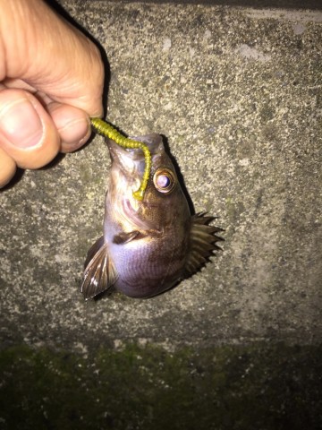 g2ybkxm7b2j9u7vjfyk2_690_920-2f37128f.jpg